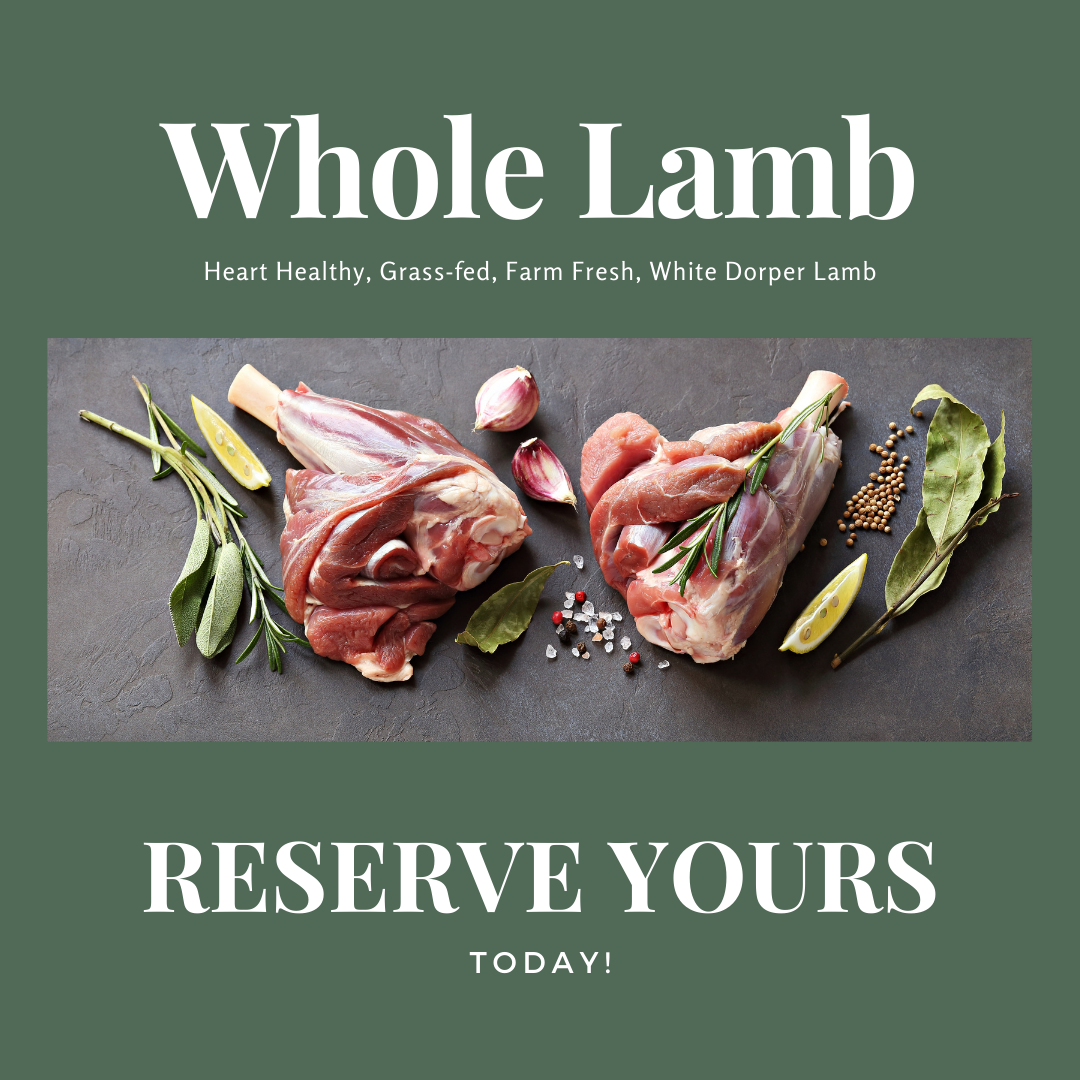 Lamb Fat, 100% Grass Fed Lamb Meat