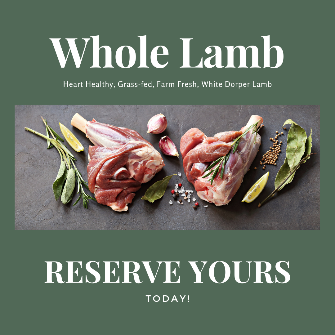 Whole Lamb Bundle (30 lbs.)