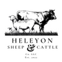 Heleyon Sheep & Cattle Co.